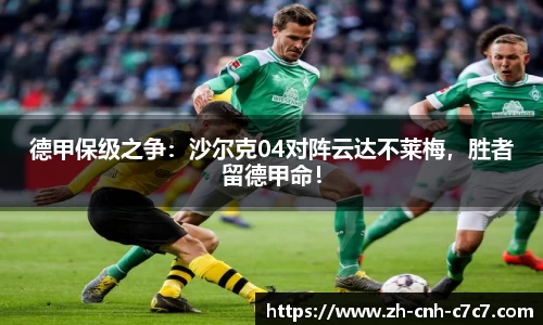 德甲保级之争：沙尔克04对阵云达不莱梅，胜者留德甲命！